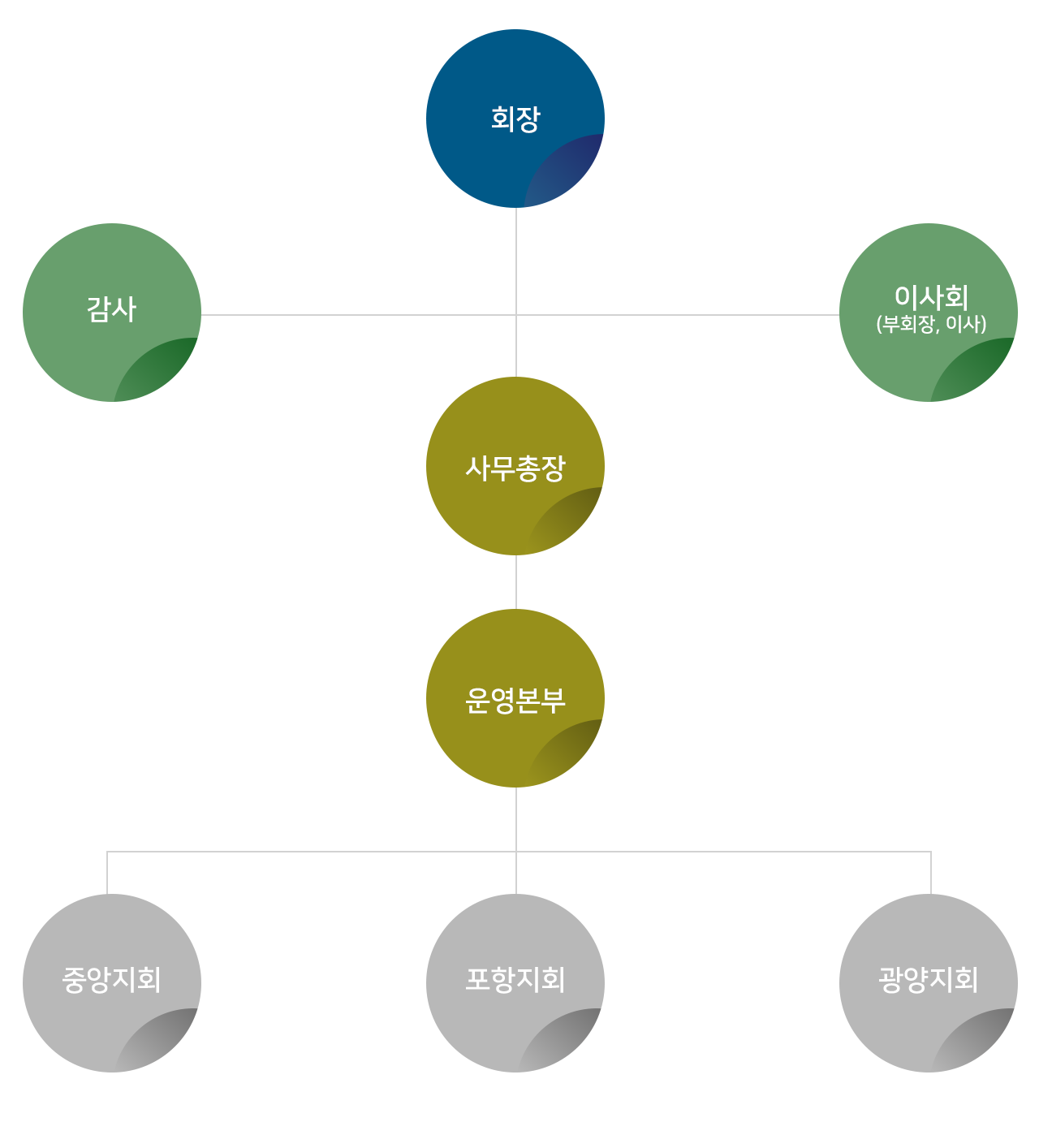 조직도 회장, 감사, 이사회(부회장,이사), 사무총장, 운영본부, 중앙지회, 포항지회, 광양지회